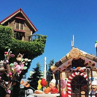 ��ذ棡�ձ����������������ι���