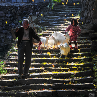 ��γ30�ȣ�һ�����˼䣬һ��������