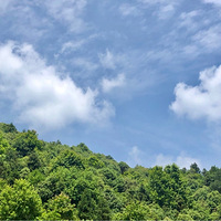 ���µ�����