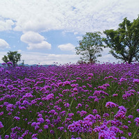 ����û�й������㳿����������ճ� ���ƺ�����ⶼ������