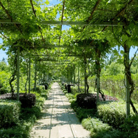 ��ĩȥ�ķ�-����