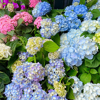 �㽭������ǣ���������򿨵������ʤ��