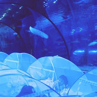 ��һȥ���棿�����Ǽ��غ���԰�������������ʮ������ƱŶ��