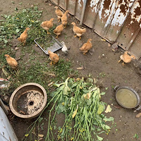 �������¿�����������һ�����