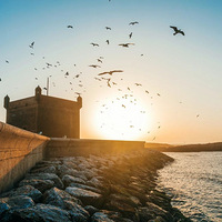 ���л��������Ƿ�����