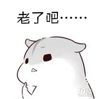 ˳ϻ۲ע⣡㾾ʧԪף