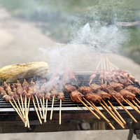 ��һ���Ž��ÿ�ɭ