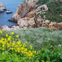 ����˽������Ļ����롰�����ᡱ��