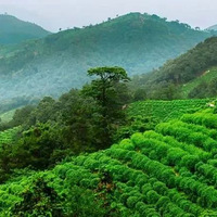 �����������һ����Ǭ¡�����ԵĴ�ׯ