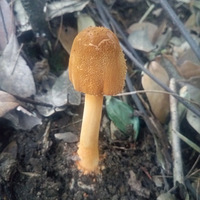 ���ǵ��ſ�Ůҵ����Ģ������ʮ����Ģ�����ж���Ҫ���壡