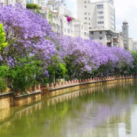 ���������������ʤ�أ���������ɫ�Ȱ��޺��ϷǶ��˰ٱ�~