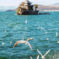 ���ϵ����죺һ�������ã�һ�����˼䡣