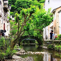 ����������ɣ��֮��������ƶ����������������