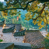 ����䱹��ӣ��������徻�������������ؾ�����Ҫ�ز�ס�ˣ�