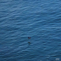 ����������ѧ������?��������ʵ��