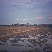 �α�ȥԶ�������ſ�Ҳ��ʫ������