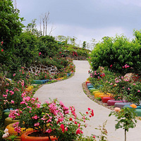 �ຼ����һ��13��O������԰��100���������û����һ��ȥ������