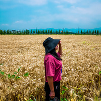 ����ĩȥ�Ķ����������˻���Ц�ˣ�����˫�����С������������