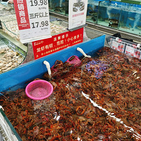 �����С��Ϻ