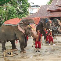 ������˫���ɵ���