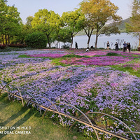 ��һȥ�� ����ȥȥ������پ����ĵط������