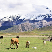 ��ʥ����| �ӱ���Ͽ�ȴ�Խ��ѩ��������ڲ�������ǰ���˲ط�