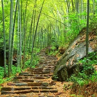 �������������| ������ɽ�������ڶ����Ƕ������ľ磡