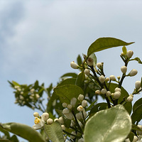 ��һ�θ����У�һ��Ů����õļ�ױ�;���һ��������ů���ģ�һ��