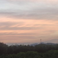 Ϧ������