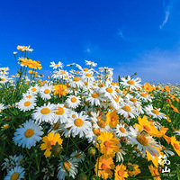 ʲô������Ȼ����С���գ�