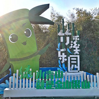 Ȥ顿ͩ®Ϫ̽԰С𳵡ˡATVˮ