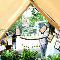 ����ĩȥ�Ķ���ɭ����Ҳ�ܰ�ͬѧ�᣿13����Ȼ��Ϸ������