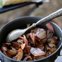 ����һ����ظ�ԭ��������Ұ��