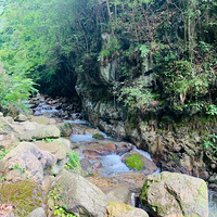 ���ϣ����ϣ���ɽ����ֳ���5�������ض�