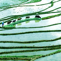 һ��һ��һ�����ˮ�ƺͲؽ��˻��������ƺ�