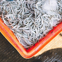 Ҧ���ġ����鷢���ء�������ȹ���ÿһ�춼������������