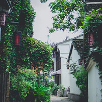 13�β����񵥣��й����Ҹ����У�ƾʲô�Ǻ��ݣ�