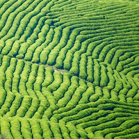 �����Լ�2h+�����������鿥��ͬ�����죡