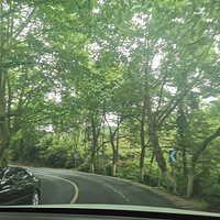 ����µ����޼۸��е��ջ�Ŷ