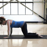 �ź����ٳ������߸�������ʲô����ʥ���Ŀ�״�����ſ��£�