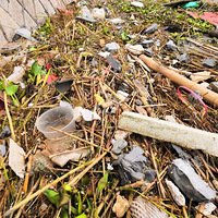 ���������ں������������纣���գ���Ȼ֮��ƽ��С���ж�