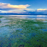 ��Ȼ������ȥ������