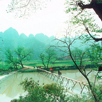 �ַ���һ������������ȥ���������ǡ��㶫�żҽ硱��Լ��