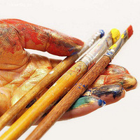 2020������ѵ���ԣ����ݻ�������ǰʮλ������Щ��