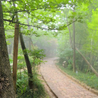 �쳾������ƣ������