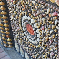 33���ɽ����ү��100�򱴿������׳�۴�¥��