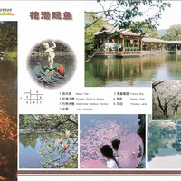 �����Ļ��䣬���������ȥ�򿨵ĵط�����ȥ��������