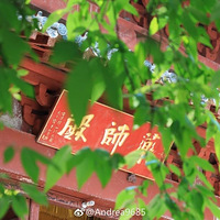 ̨���⼸������Ҳ��������Լ��