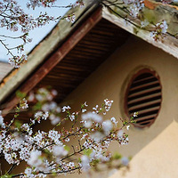 Ŭ����Ϊһ����Ժ�ӵ���