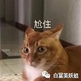 ����������ˣ��������������ƭ������������쳧�׹�Ůʵ����